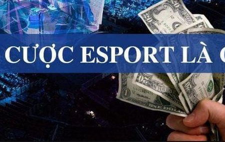 Giải Đáp Cá Cược Esport Là Gì? Các Kèo Esport Phổ Biến