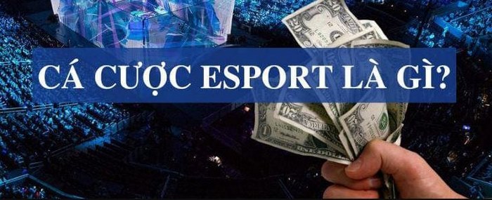 cá cược esport là gì