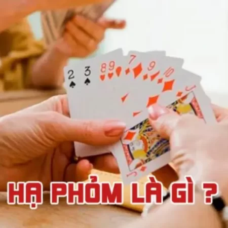 Hạ phỏm là gì? Cách hạ phỏm hiệu quả cho cược thủ